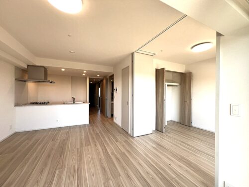 2bed / 1bath Newly Built Apartment near Rycom Mall ''Inspection Soon''